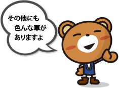 その他にも色んな車がありますよ